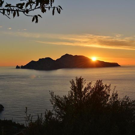 Il Nido Del Gabbiano Apartment Massa Lubrense Bagian luar foto