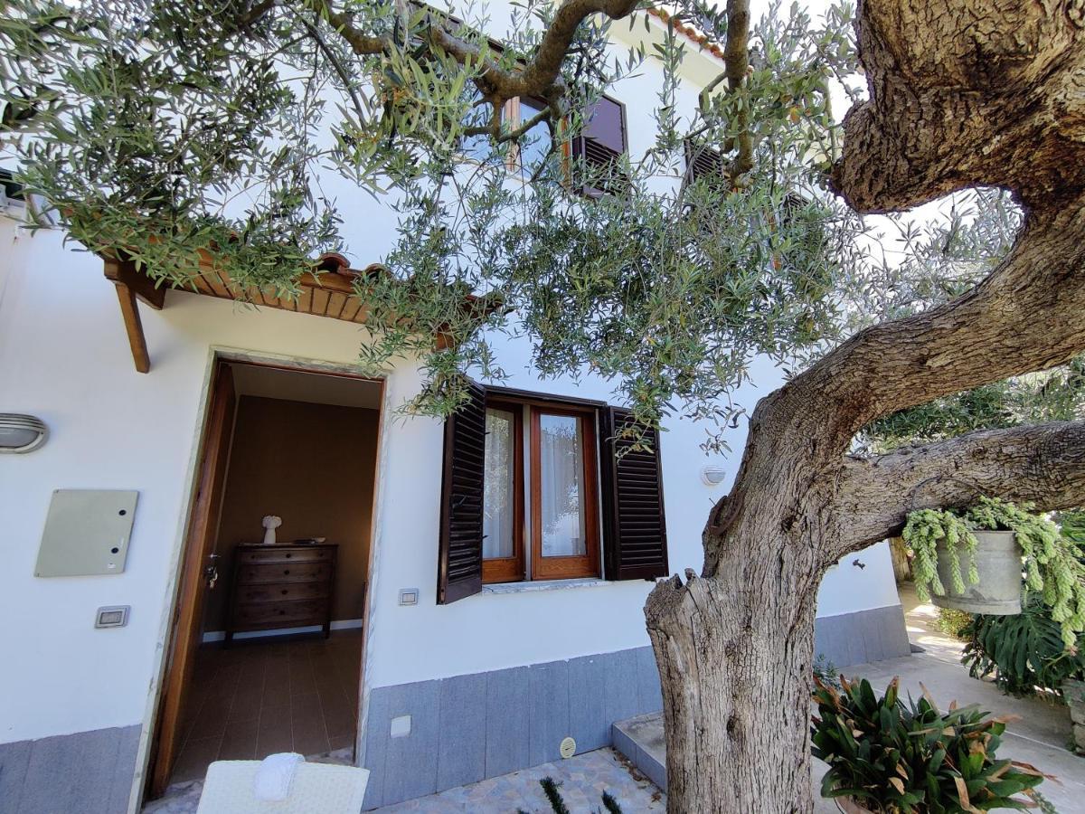 Il Nido Del Gabbiano Apartment Massa Lubrense Bagian luar foto