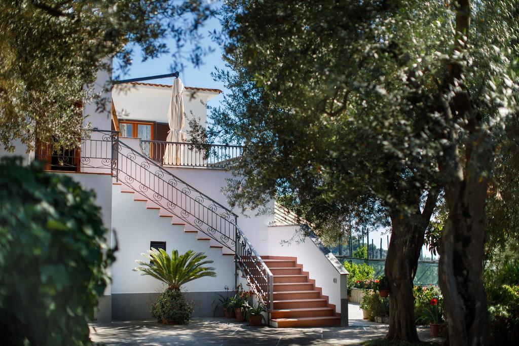 Il Nido Del Gabbiano Apartment Massa Lubrense Bagian luar foto