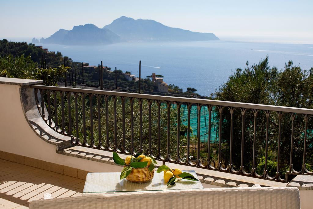 Il Nido Del Gabbiano Apartment Massa Lubrense Bagian luar foto