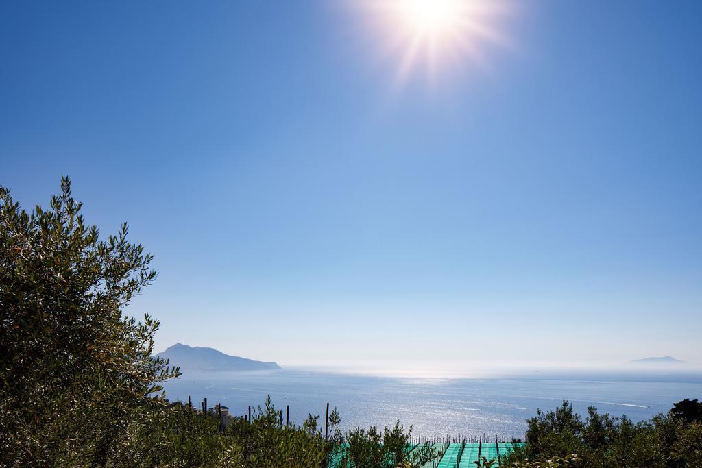 Il Nido Del Gabbiano Apartment Massa Lubrense Bagian luar foto