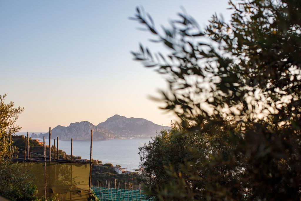Il Nido Del Gabbiano Apartment Massa Lubrense Bagian luar foto